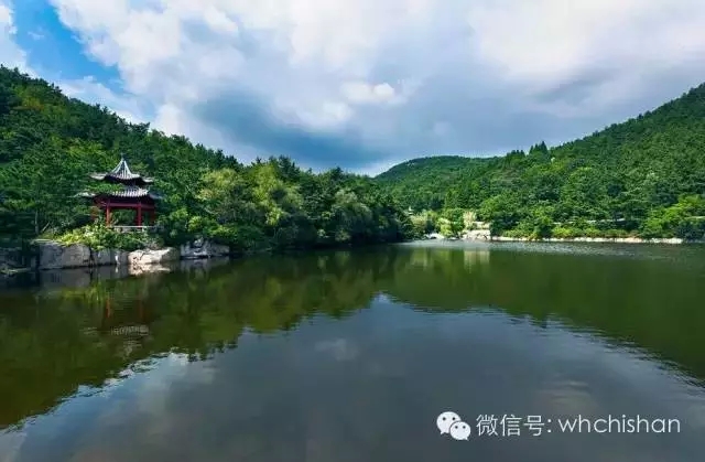 花期已過葉還未紅 去赤山賞云吧！
