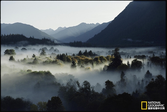 奧林匹克國家公園，華盛頓州攝影：Sam Abell，國家地理創(chuàng)意版
