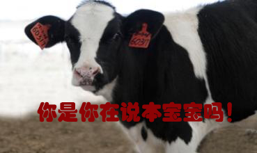 關我什么事！