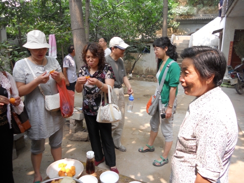 信息廣播為滎陽杏農(nóng)獻愛心
