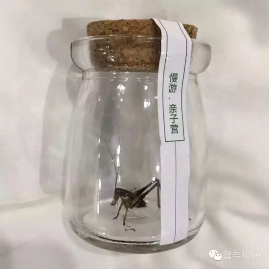 看看我的成果吧！