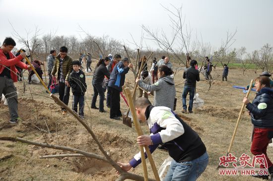 植樹活動(dòng)火熱進(jìn)行中