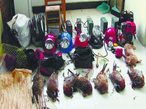 森林警方查獲的部分播放機(jī)、礦燈和獵殺的野生動(dòng)物等