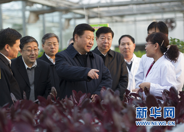  27日下午，習(xí)近平在山東省農(nóng)業(yè)科學(xué)院智能化溫室了解農(nóng)業(yè)科技創(chuàng)新情況。