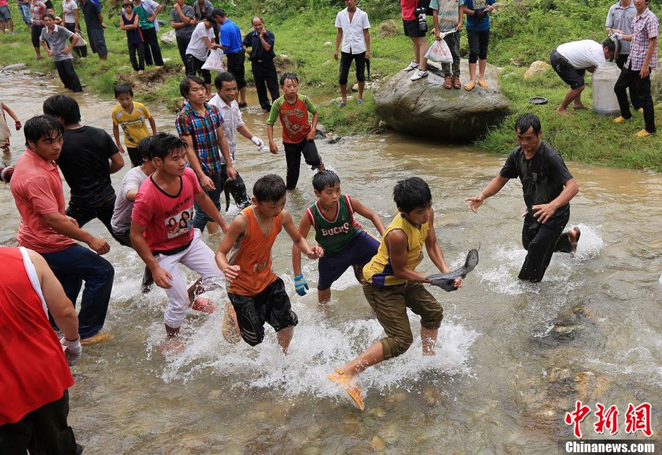 7月9日，村民在小河里摸魚搶魚。譚凱興 攝