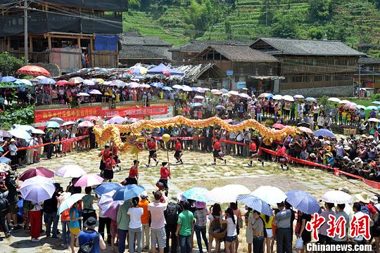 圖為當(dāng)?shù)丶t瑤民眾舞起長(zhǎng)龍祈求風(fēng)調(diào)雨順。中新社發(fā) 韋吉陽(yáng) 攝