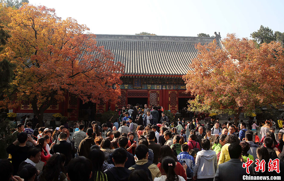 　10月26日，北京香山公園內(nèi)游客摩肩接踵。