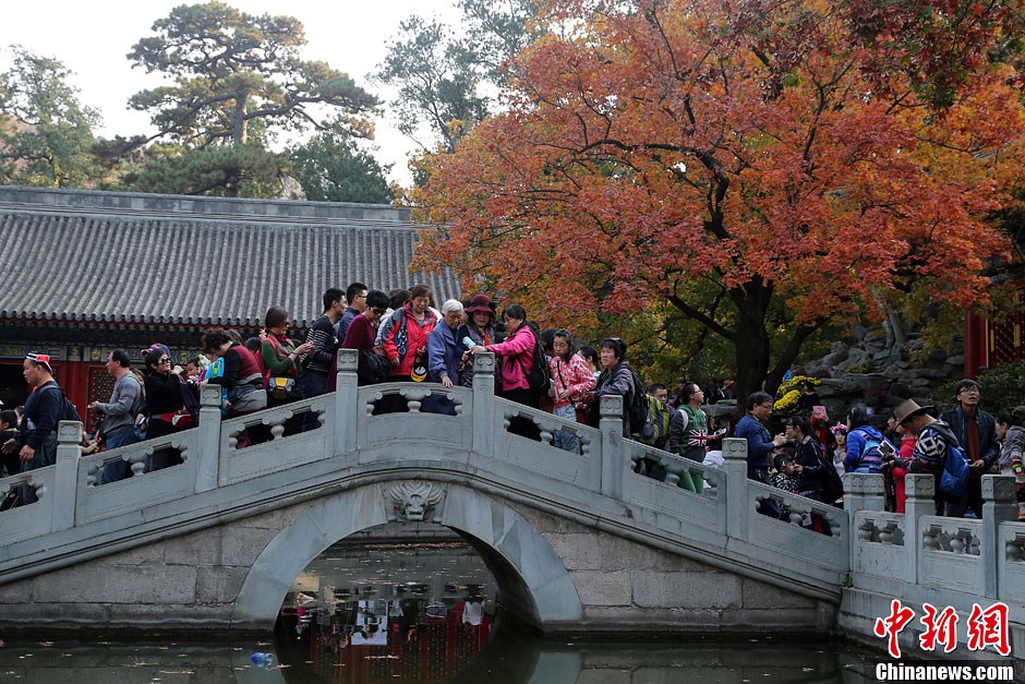 　10月26日，北京香山公園內(nèi)游客摩肩接踵。