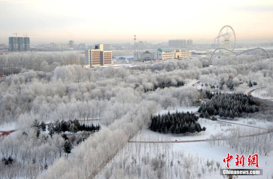 12月10日,受降溫天氣影響,黑河市黑龍江江畔出現(xiàn)綿延數(shù)公里的霧凇景觀。