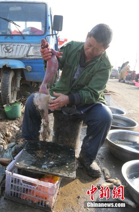 圖為12月1日，104國道靜?？h城附近，顧客挑好后，商販拎著死兔將皮完整地扒下來。田寶希 攝 圖片來