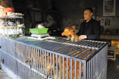 南京另一家農(nóng)貿(mào)市場(chǎng)內(nèi)待售的活雞。因南京出現(xiàn)H7N9禽流病例，買(mǎi)活雞的顧客減少。