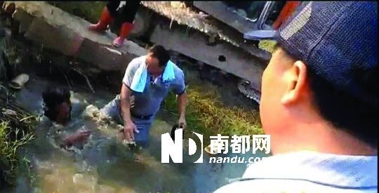 男子沒入水塘后試圖反抗，遭戴黑帽男子毆打。視頻截圖