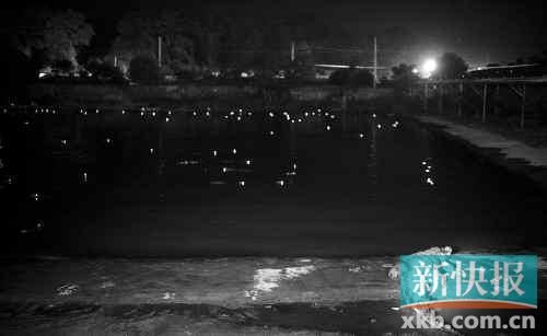 昨日，西湖村鱷魚(yú)養(yǎng)殖場(chǎng)已修復(fù)圍欄。