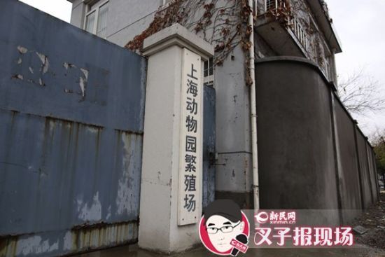 圖說：新民網(wǎng)記者趕到時，上海動物園繁殖場大門緊閉。新民網(wǎng) 記者 蕭君瑋 攝