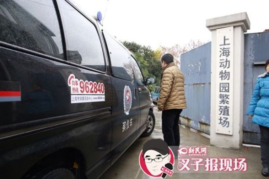 殯葬車到達現(xiàn)場。新民網(wǎng) 記者 蕭君瑋 攝