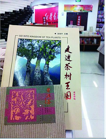 今天上午，記者在普洱市振興大道上的新華書店內(nèi)發(fā)現(xiàn)，沈培平主編的《走進茶樹王國》、《普洱茶連環(huán)畫》兩種書還在售