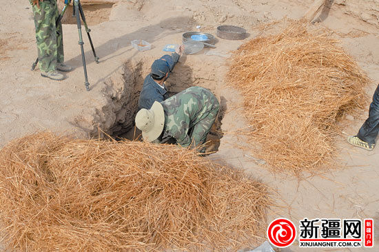 考古人員正在清理麥稈。（圖由中國(guó)科學(xué)院人文學(xué)院科技室與科技考古系提供）