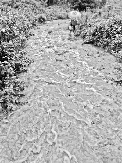 梅子回家的山道，晴天是路，雨天是河