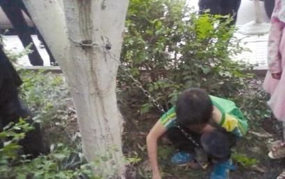 男孩被父親用鐵鏈鎖在小區(qū)樹上。（網友供圖）