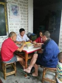掃水掃不及，胥家鎮(zhèn)柏河村的居民干脆打起了麻將。