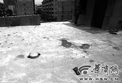 藏獒就養(yǎng)在這個(gè)樓頂，孩子從欄桿處墜落 本報(bào)記者 趙航 攝