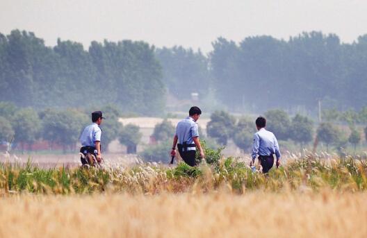 昨日上午，合肥長豐縣雙墩鎮(zhèn)，民警分成小隊(duì)在案發(fā)村莊附近麥田搜捕嫌犯。記者劉玉才/攝
