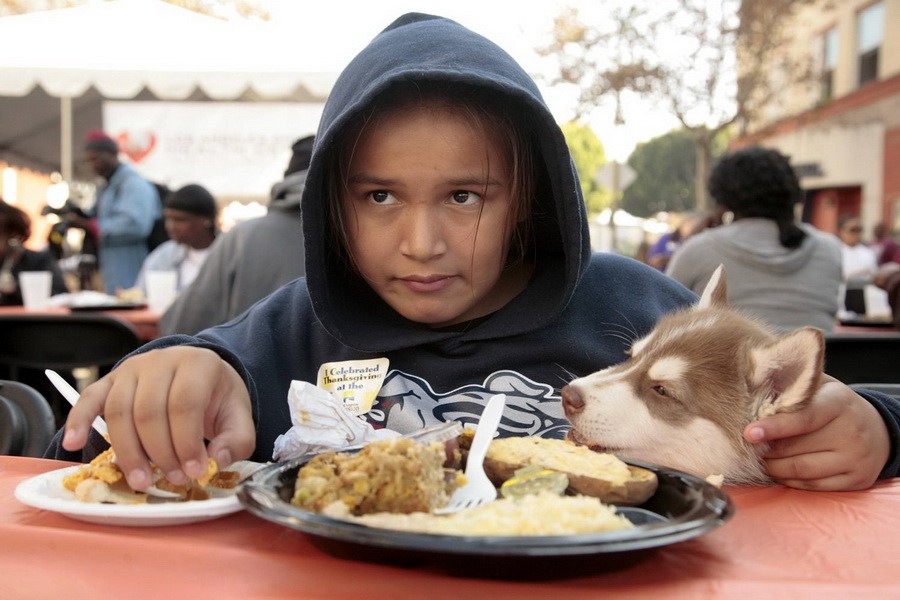 11月21日，加州洛杉磯的游民巷，12歲的堂娜·赫南德茲抱著愛犬“湯米”，安靜地吃著免費的感恩節(jié)飯菜