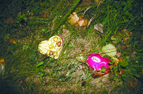 今天是七夕節(jié)，但這對(duì)愛人或許無法甜蜜分享這盒巧克力了……