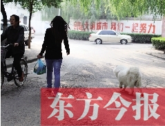 啟明一巷內(nèi)，一名女子帶著狗狗去買菜。狗隨地大小便，狗的主人未制止