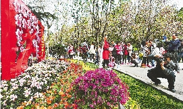 市民紛紛將鏡頭對準(zhǔn)花叢。