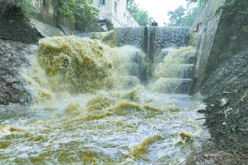 洛陽(yáng)澗河遭大明渠中污水肆虐 釣出魚兒都帶油腥