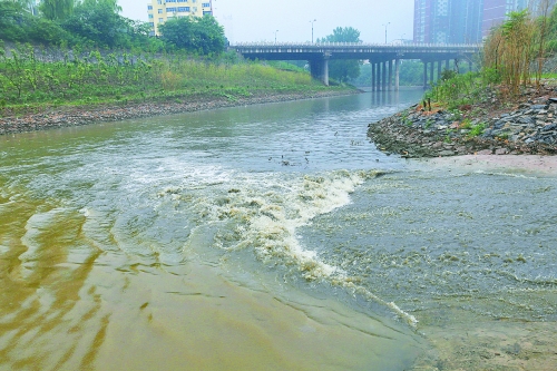 洛陽(yáng)澗河遭大明渠中污水肆虐 釣出魚兒都帶油腥