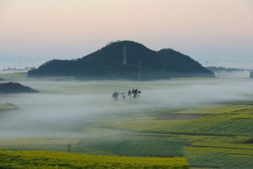 盤點(diǎn)全國(guó)13處絕美的油菜花觀賞地