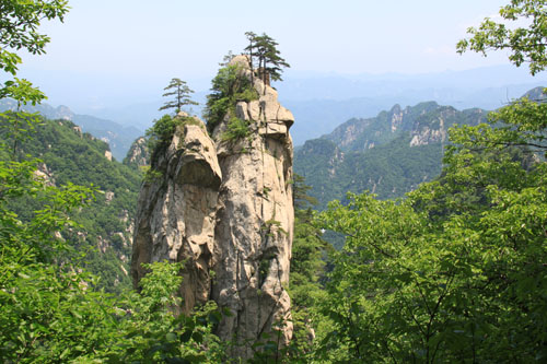 陽(yáng)春三月 河南登山好去處