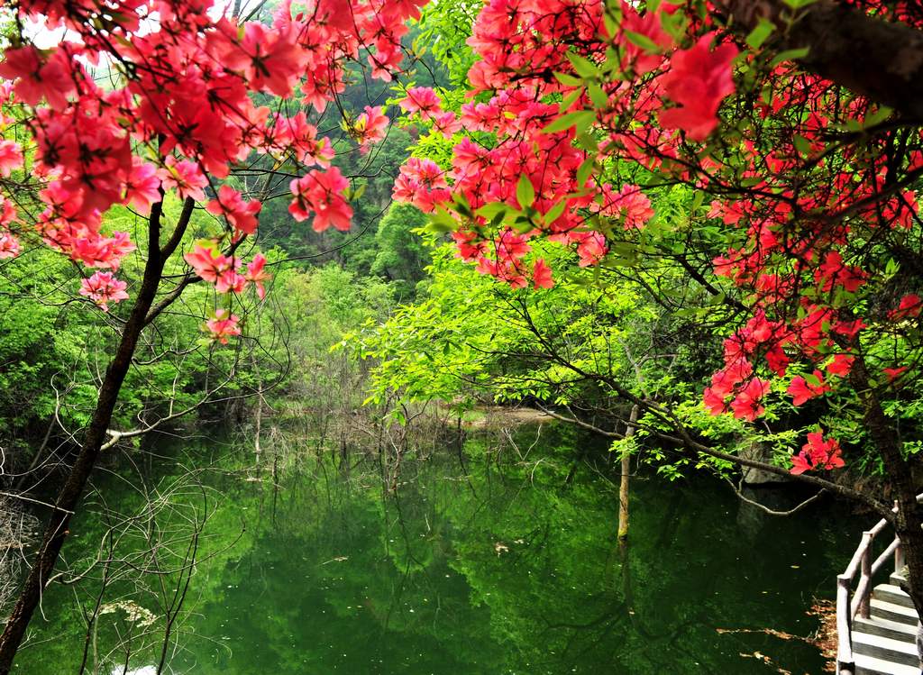 母親節(jié)河南景區(qū)優(yōu)惠大波來襲！