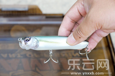 　　又稱擬餌釣魚,起源于歐洲,國內(nèi)翻譯為“路亞”。