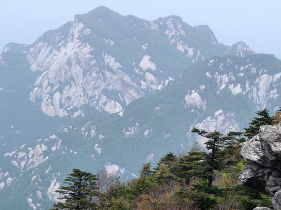 三門峽小秦嶺開園 我省國家地質公園又添新丁