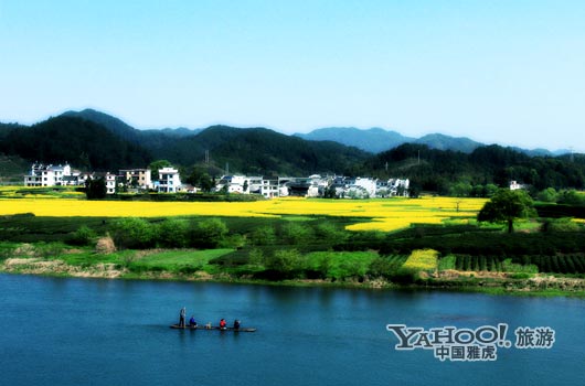 　　婺源號稱是中國最美麗的鄉(xiāng)村,她最美麗的季節(jié)是三月中下旬。(圖片來源:CFP)