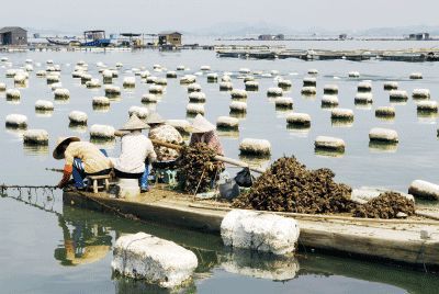 以漁為生，造就了他們不同于內(nèi)地的口味