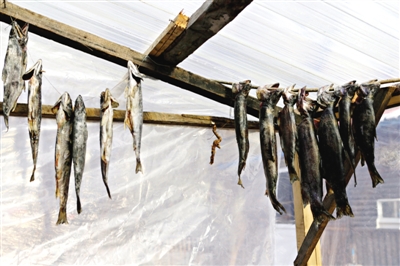 長白山腳下一家小餐館內(nèi)晾曬的冷水魚。