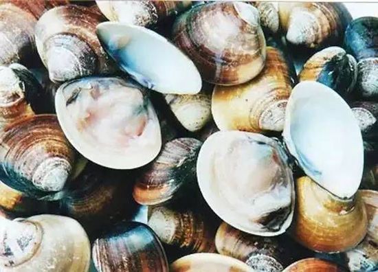秋季最適合吃的海鮮是這10種 你吃對了嗎？