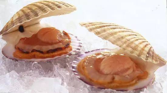 秋季最適合吃的海鮮是這10種 你吃對了嗎？