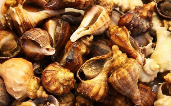 秋季最適合吃的海鮮是這10種 你吃對了嗎？