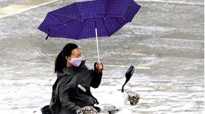昨日下午，隴海路上，雨中風(fēng)大，一位女士的傘被吹翻了。