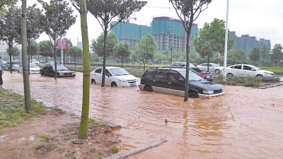 昨日，信陽突降暴雨，路面積水已淹沒輪胎。首席記者 何正權 通訊員 楊小燕 攝影