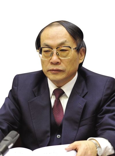 劉志軍（資料圖片）。新華社發(fā)