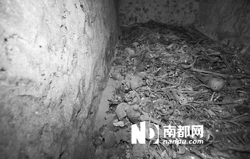 　5月29日，在以色列特拉維夫市雅法地區(qū)，一處集體墳墓被發(fā)現(xiàn)。
