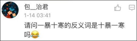鶴立雞群？雞立鶴群！