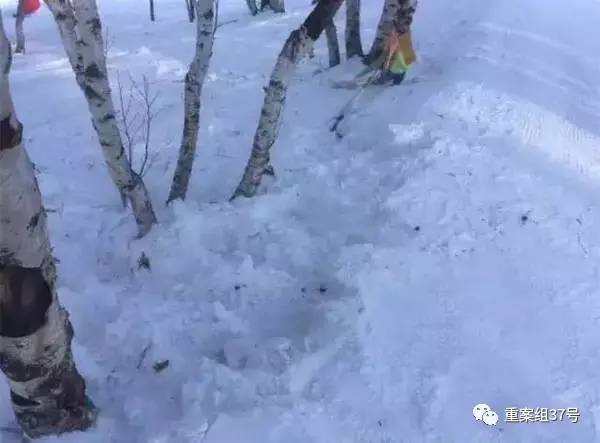 10歲男童滑雪墜崖身亡 滑雪場(chǎng)內(nèi)無(wú)監(jiān)控引家屬質(zhì)疑