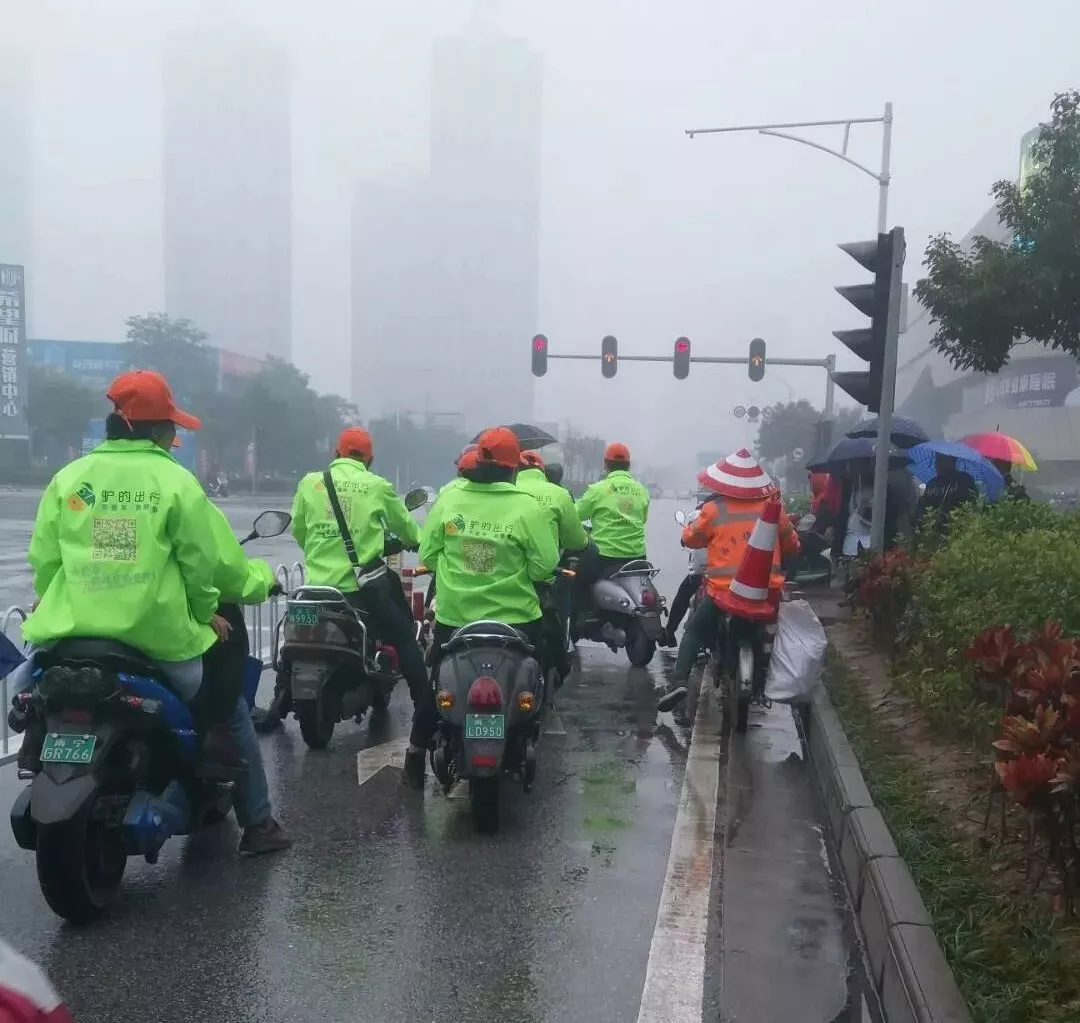 出門打驢？ 南寧“滴滴打驢”被緊急叫停
